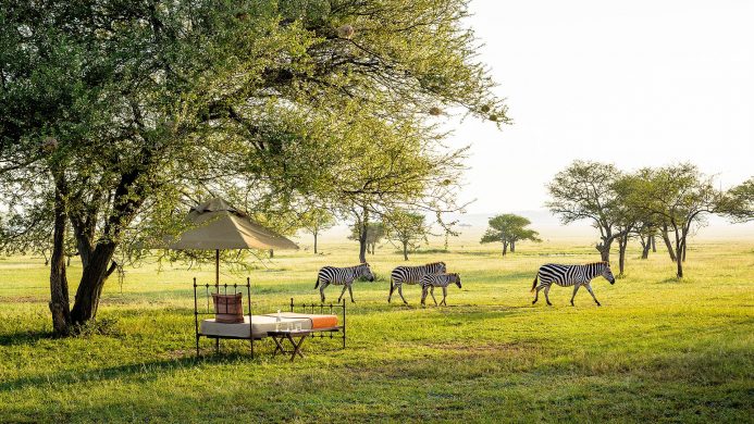 Singita Grumeti Sabora tente camp lit extérieur zèbre