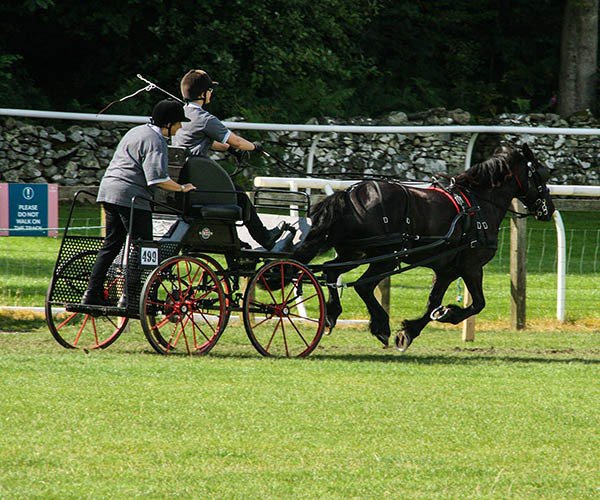 Le spectacle de Cartmel