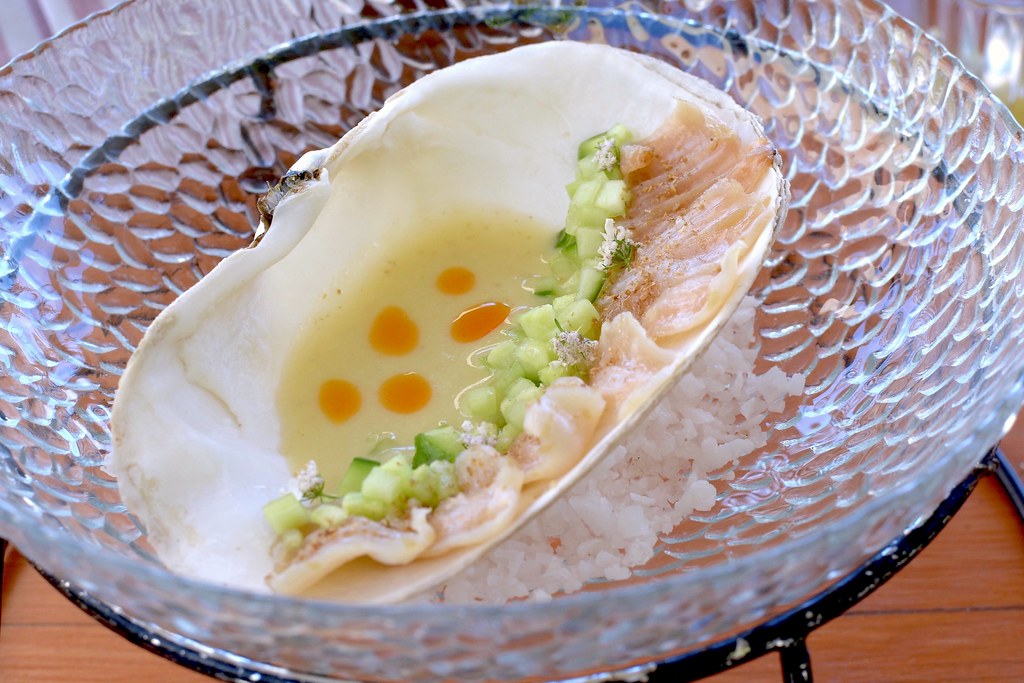 Coquille de Pierre - Vallée de la Guadeloupe