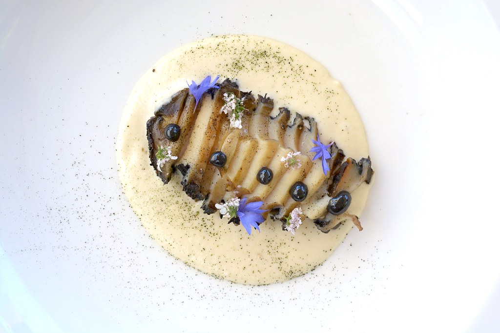 Coquille de Pierre - Vallée de la Guadeloupe