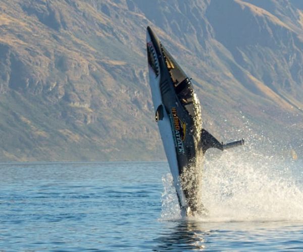 Un bateau qui ressemble à un requin dans l'eau