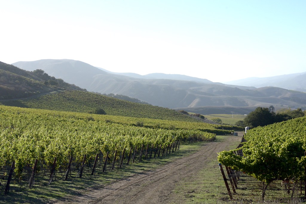 Vignoble Dumetz - Los Alamos